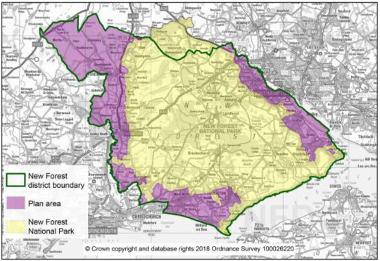 New Forest district boundary lined green, the plan area is shaded purple and the New Forest National Park area shaded yellow