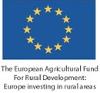 EU Logo