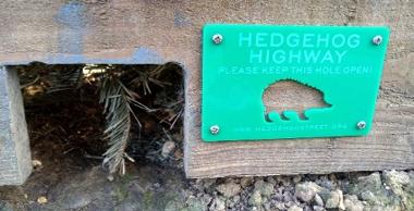 An image of a hedgehog gap in a gravel board