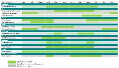 Guidance on timetable for carrying out surveys 