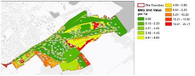 Image showing the BNG unit value per ha